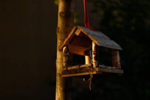 Vogelfutterhaus im privaten Garten