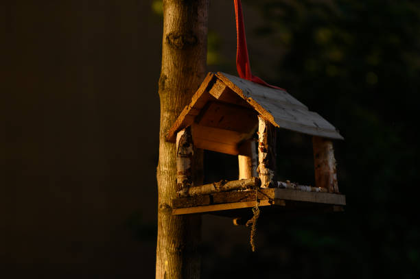 Vogelfutterhaus im privaten Garten